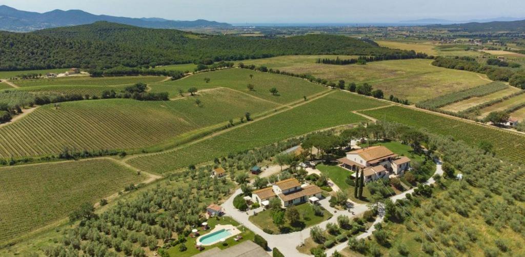 Villa Agriturismo Baia Degli Ulivi Massa Marittima Exterior foto