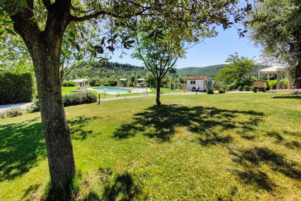 Villa Agriturismo Baia Degli Ulivi Massa Marittima Exterior foto