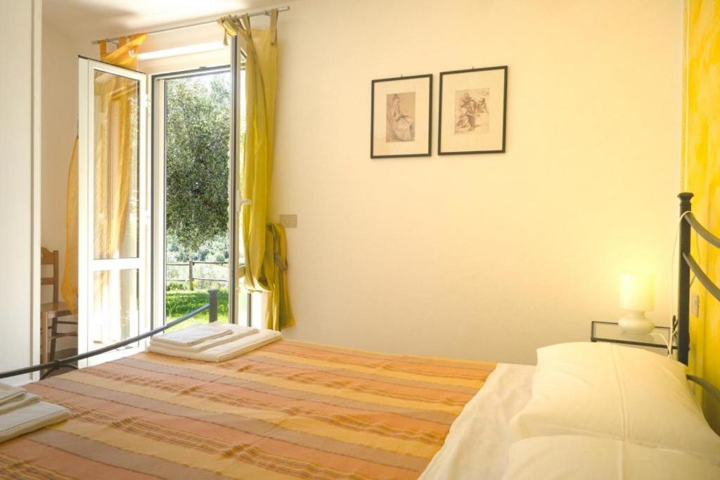 Villa Agriturismo Baia Degli Ulivi Massa Marittima Exterior foto